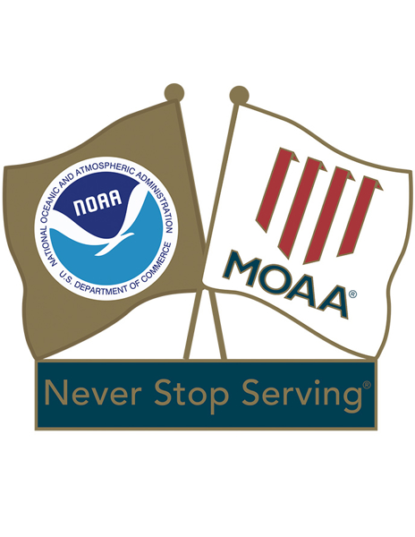Picture of NOAA Dual Flag Lapel Pin